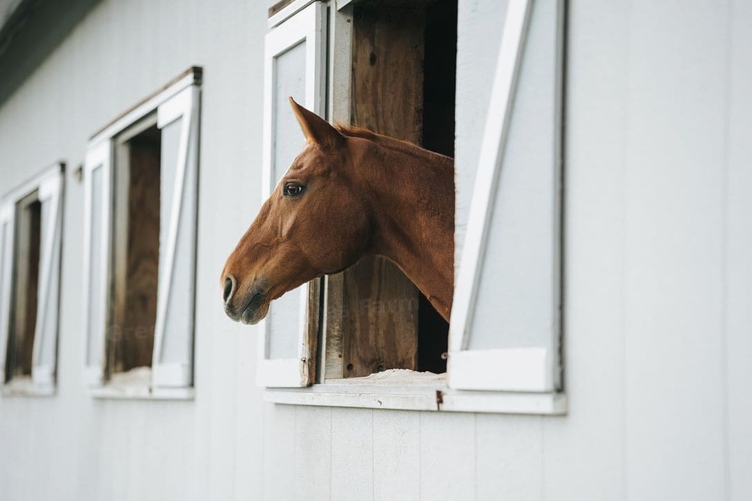 Greenfield Pastures Farm 12